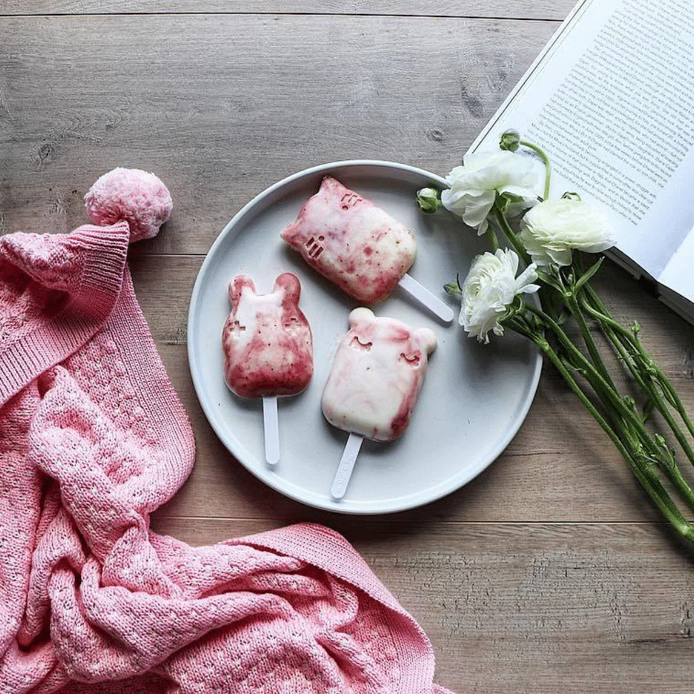 Molde para Helados - Gris Carbón | We Might Be Tiny - Imagen 4