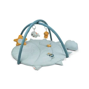 Gimnasio de Actividades Amigos del Mar - Azul | Done by deer