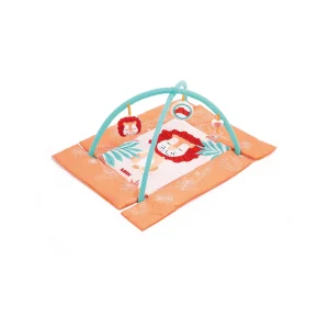 Gimnasio de Actividades - León | Ludi