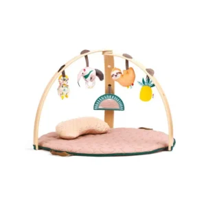 Gimnasio de Juego y Estimulación - Arco de Madera | Ludi