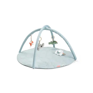 Gimnasio de Juego de Actividades Playground - Azul | Done by deer