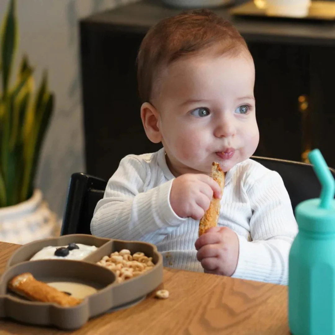 Plato de Silicona - Oso | Melii - Imagen 3