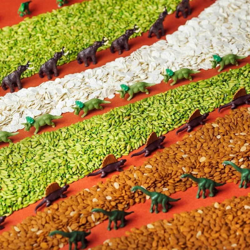 BOTELLA SENSORIAL PETIT BOUM ·JURASSIC· - Imagen 4