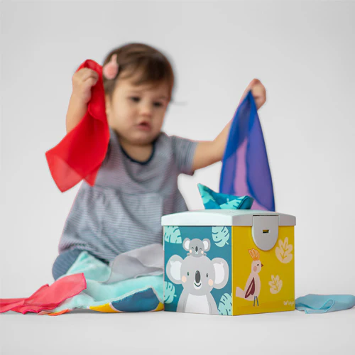 Caja de Pañuelos Kimmy la Koala | Taf Toys - Imagen 2