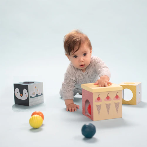 Cubo de Encaje y Formas - Polo Norte | Taf Toys - Imagen 3