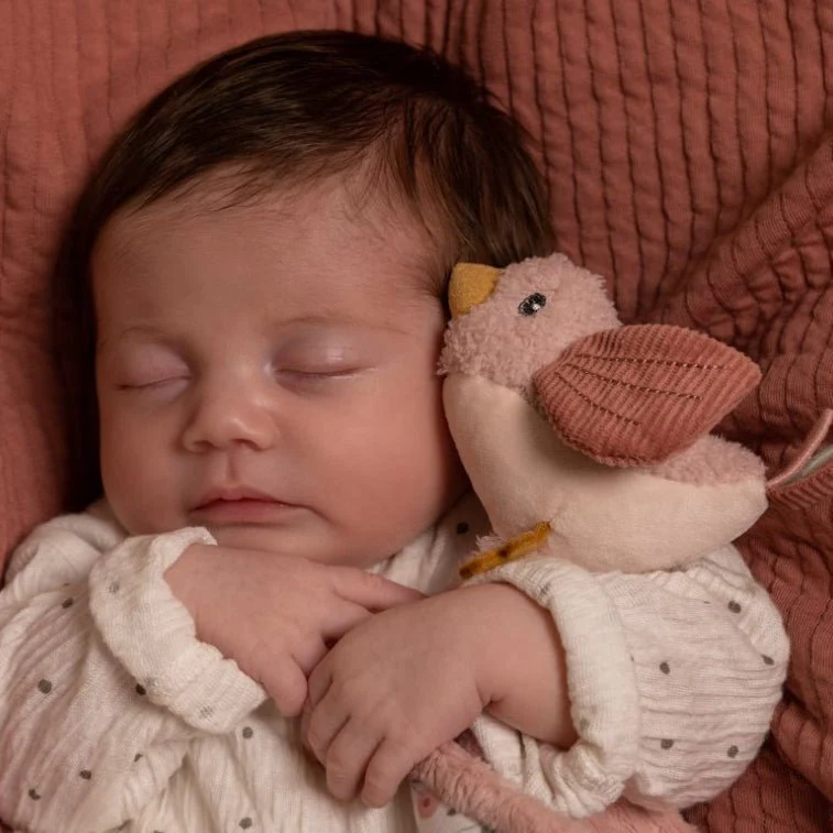 DOUDOU LITTLE DUTCH ·FLORES· - Imagen 4