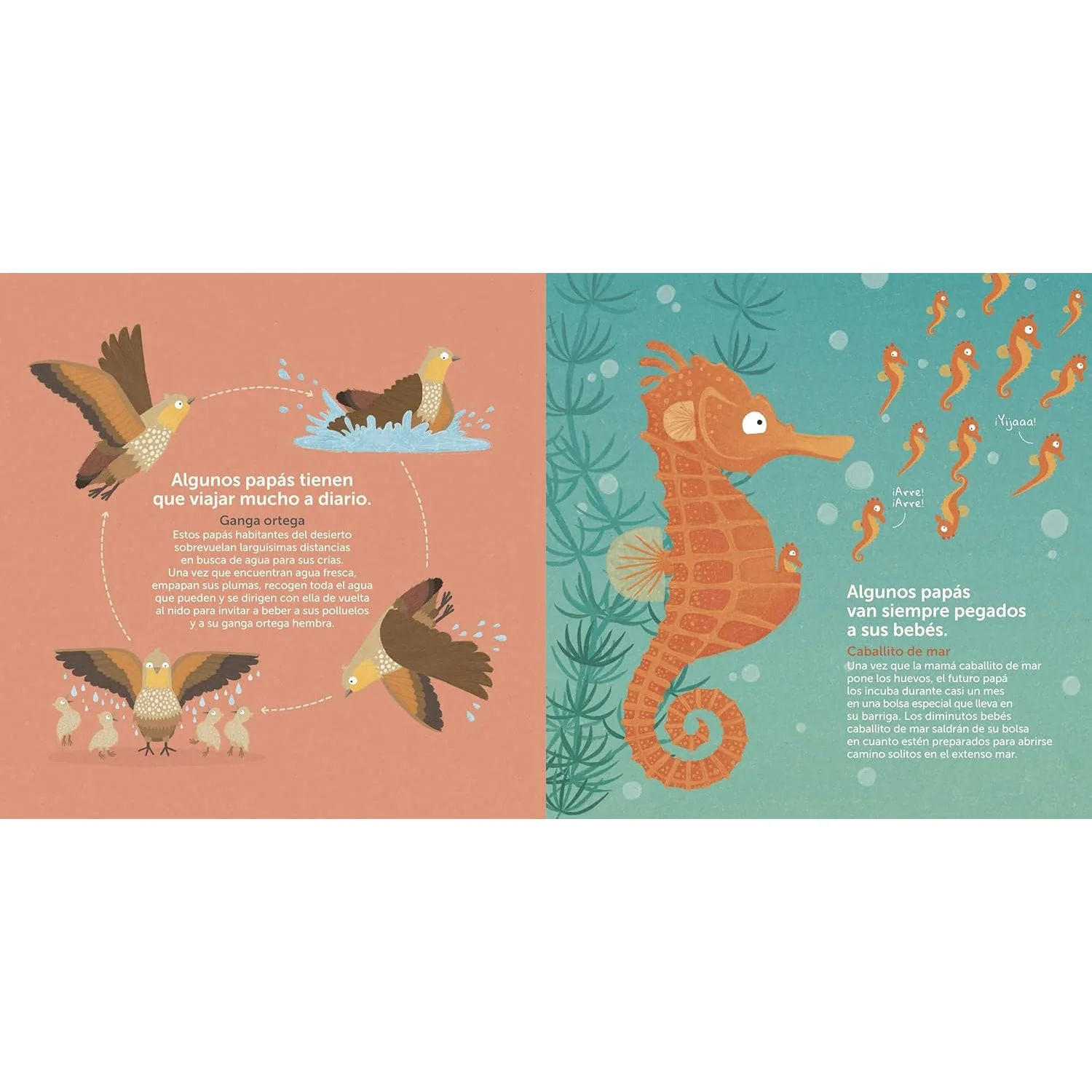 LIBRO INFANTIL - SUPERPAPÁS - Imagen 3